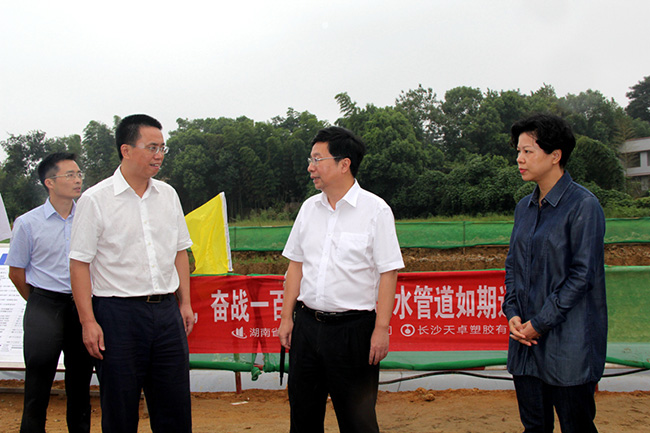市領導張迎春、夏建平、劉明理等參加調研，望城區領導孔玉成、鄒特等陪同調研